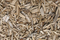 biomass boilers Magherasaul
